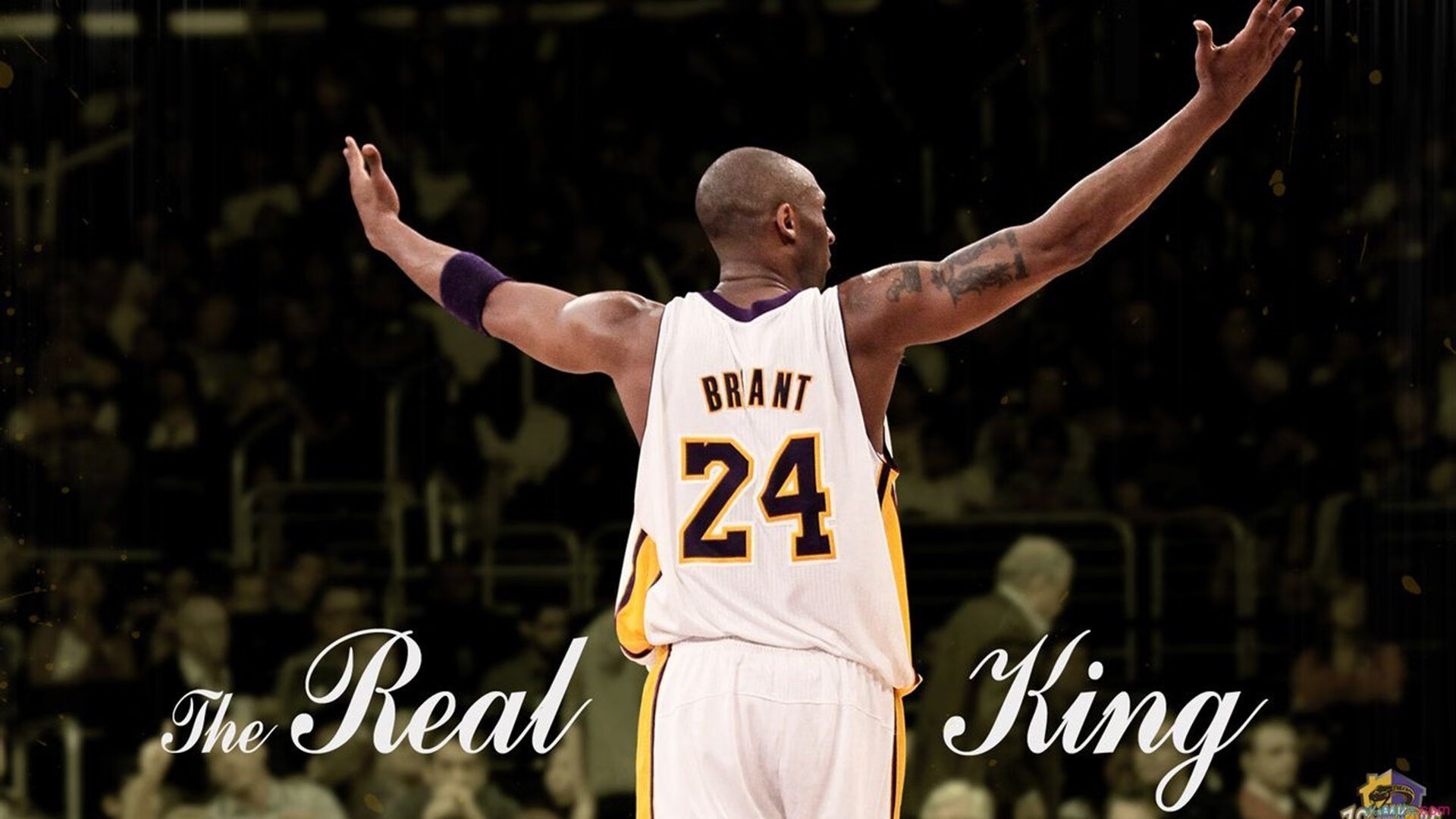 200蝶划频与划幅配合解析，划幅和划频