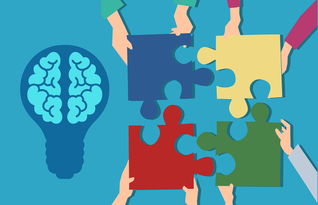 中小学课程内容创新，中小学创新教育